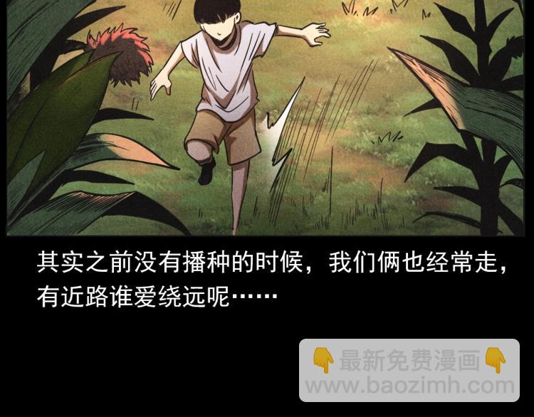 🍛枪爷异闻录 第297话 露天电影 第14页