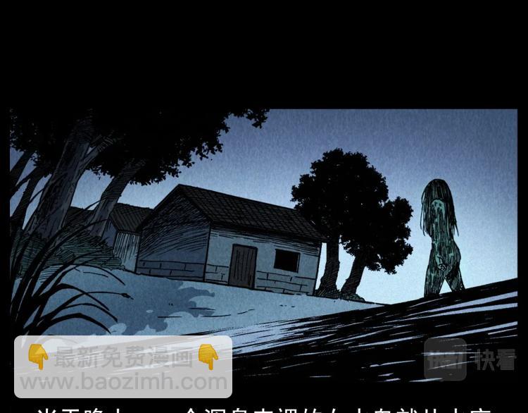 🍛枪爷异闻录 第299话 王家坝诡事 第49页