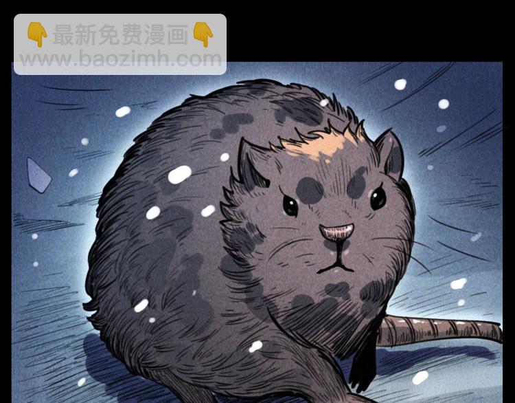 🍛枪爷异闻录 第307话 鼠恩 第16页