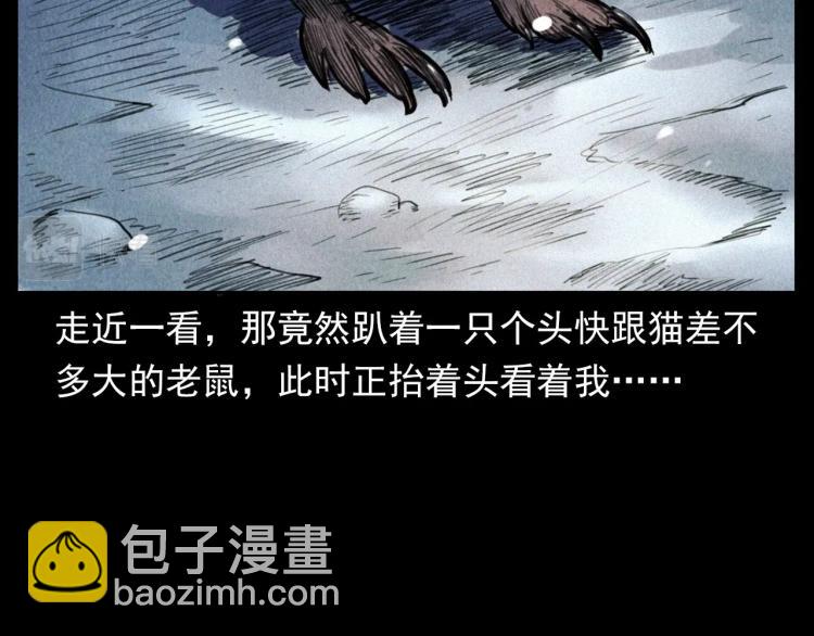 🍛枪爷异闻录 第307话 鼠恩 第17页