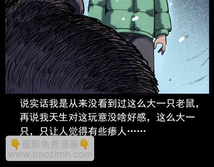 🍛枪爷异闻录 第307话 鼠恩 第19页