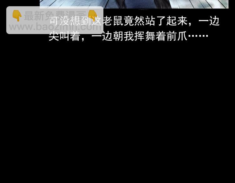 🍛枪爷异闻录 第307话 鼠恩 第23页