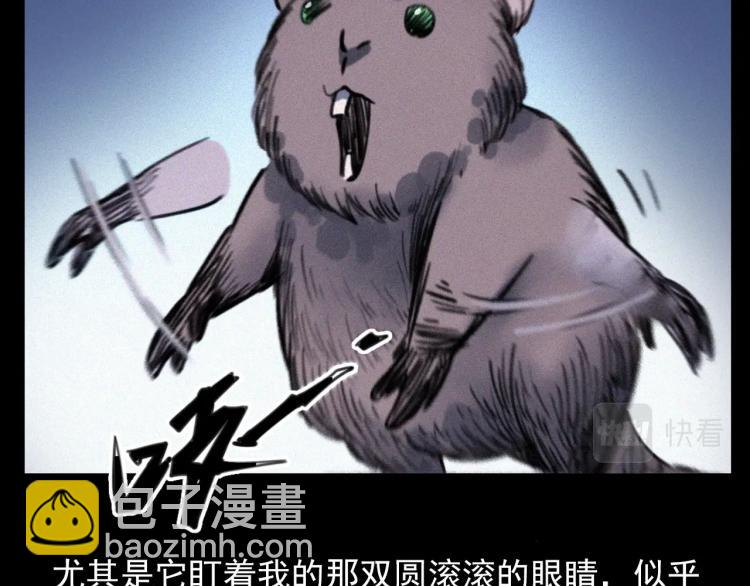 🍛枪爷异闻录 第307话 鼠恩 第26页