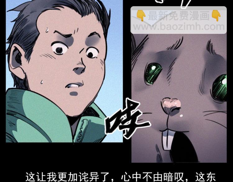 🍛枪爷异闻录 第307话 鼠恩 第28页