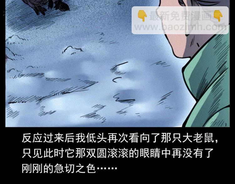 🍛枪爷异闻录 第307话 鼠恩 第41页