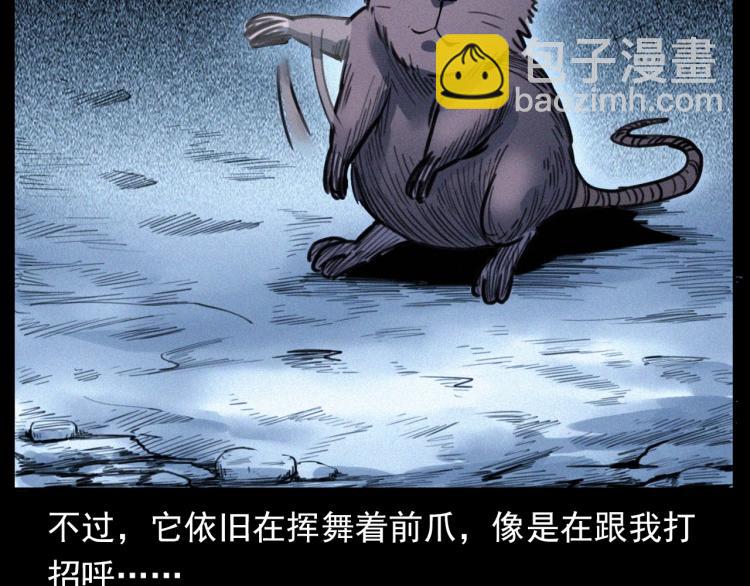 🍛枪爷异闻录 第307话 鼠恩 第43页