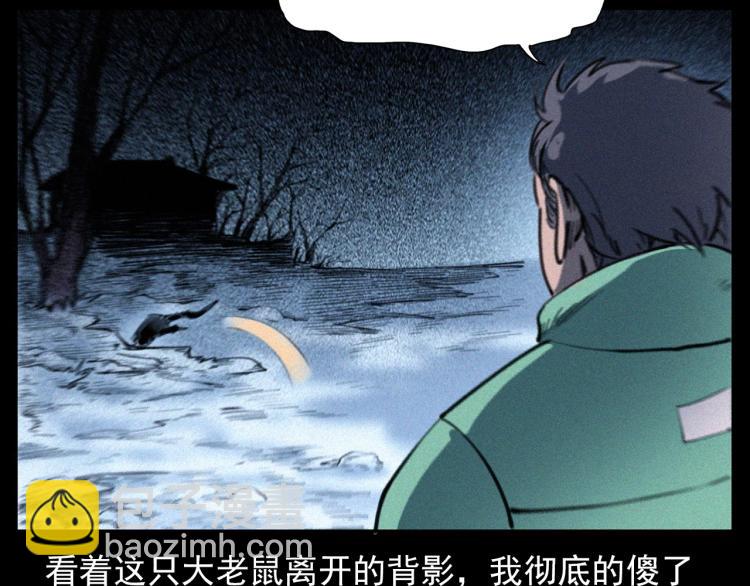 🍛枪爷异闻录 第307话 鼠恩 第47页