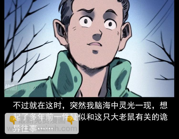 🍛枪爷异闻录 第307话 鼠恩 第49页
