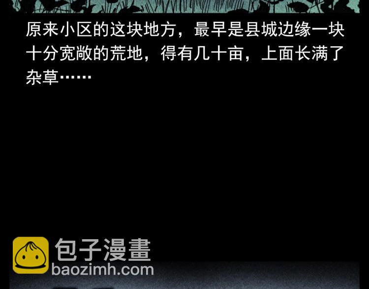 🍛枪爷异闻录 第319话 球场怨魂 第30页
