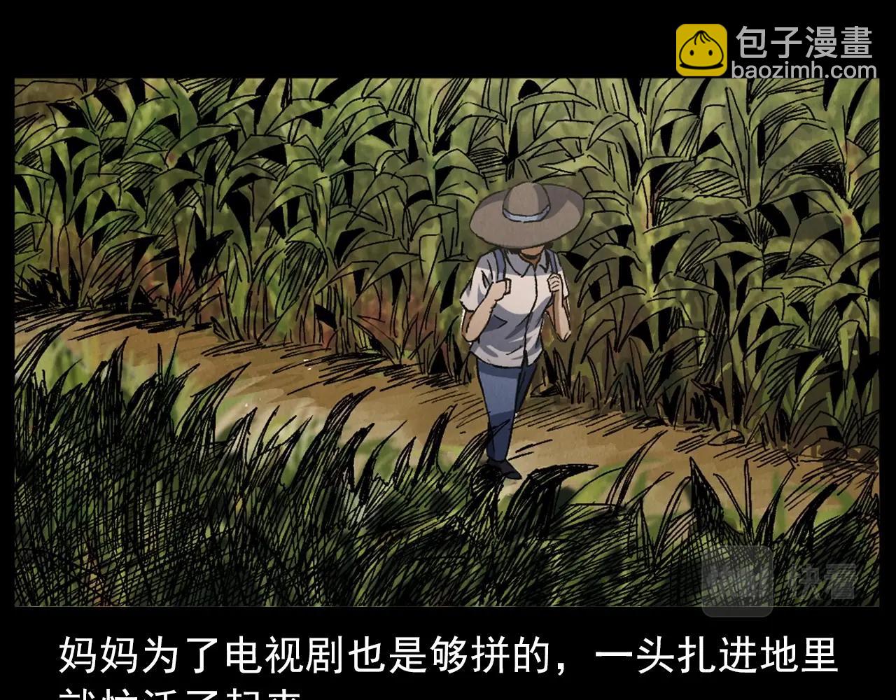 🍛枪爷异闻录 第415话 玉米地里的人 第17页