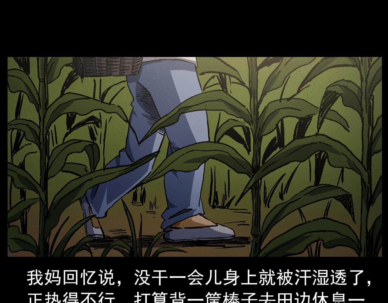 🍛枪爷异闻录 第415话 玉米地里的人 第19页