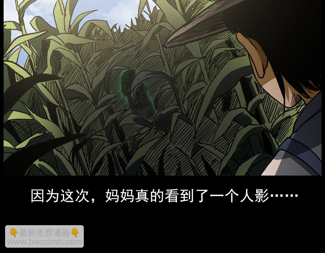 🍛枪爷异闻录 第415话 玉米地里的人 第43页