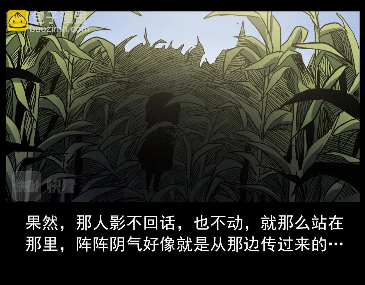 🍛枪爷异闻录 第415话 玉米地里的人 第48页