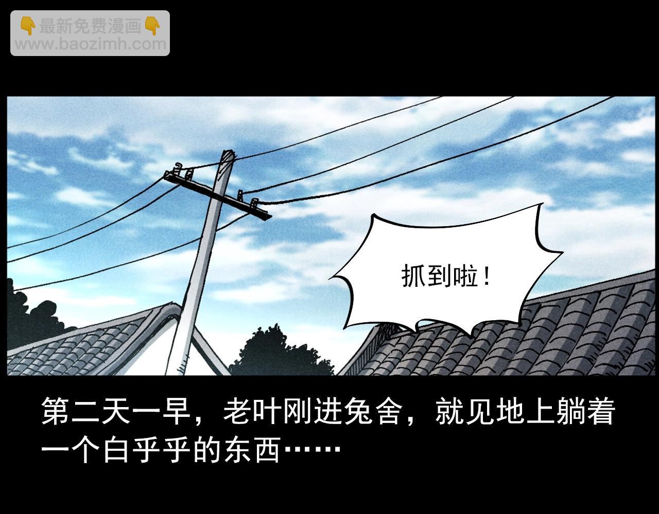 🍛枪爷异闻录 第421话 白狐 第40页