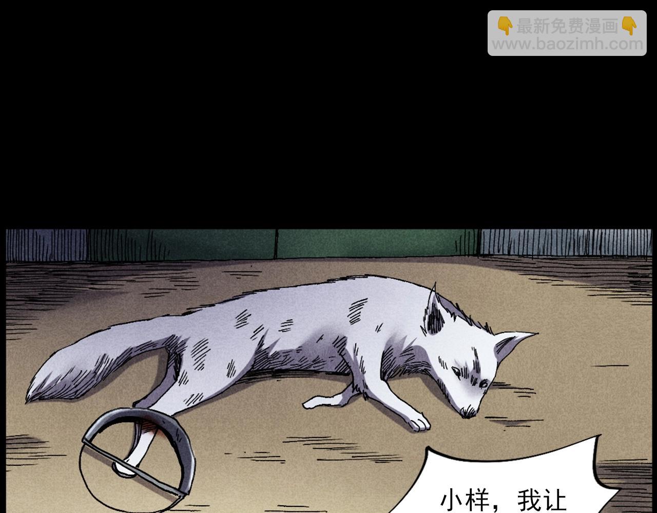 🍛枪爷异闻录 第421话 白狐 第43页