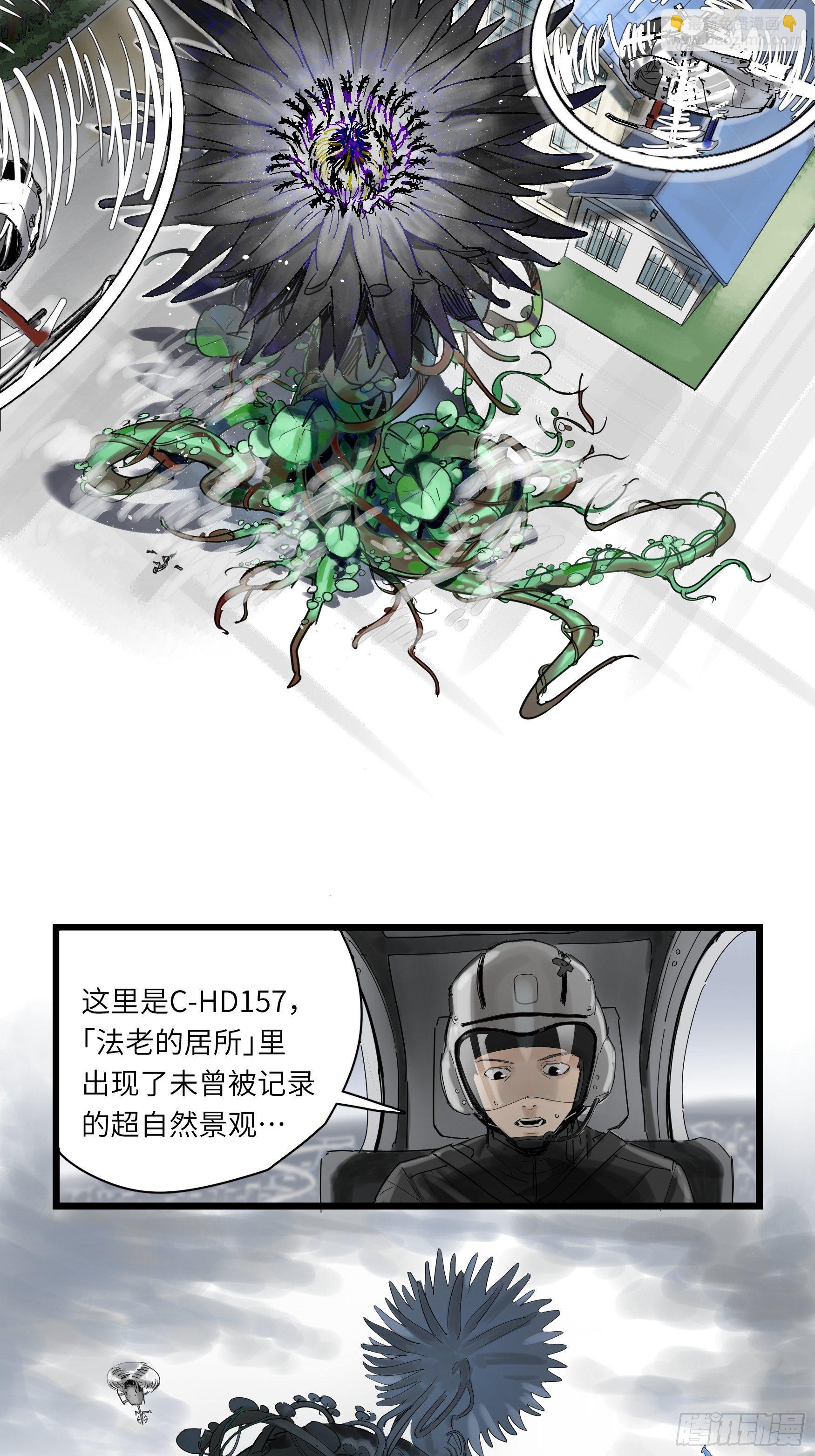 金银戒 48 绽放的埃及蓝睡莲-第49话
