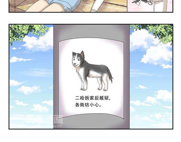 第255话 拆家警告-第255话