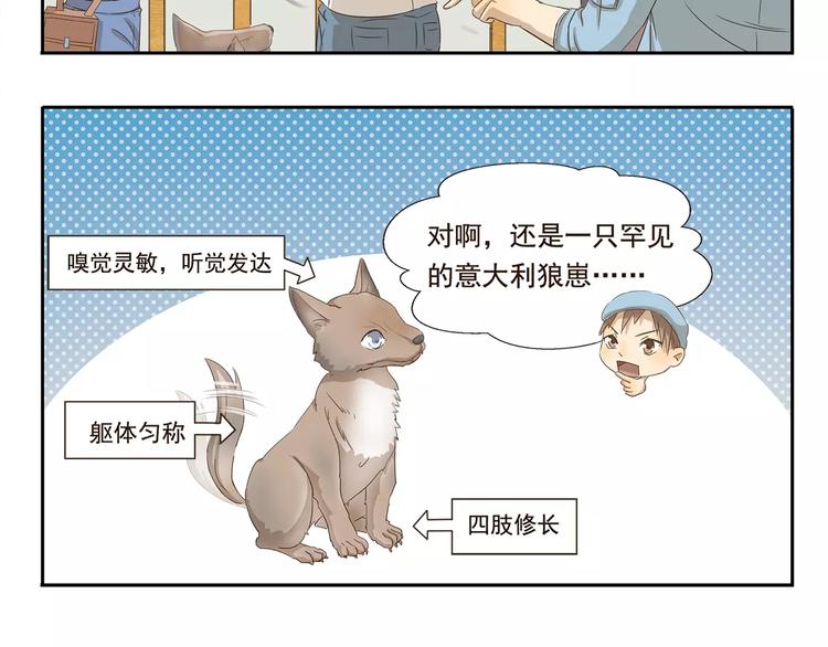 第33话 开罗动物园-第33话