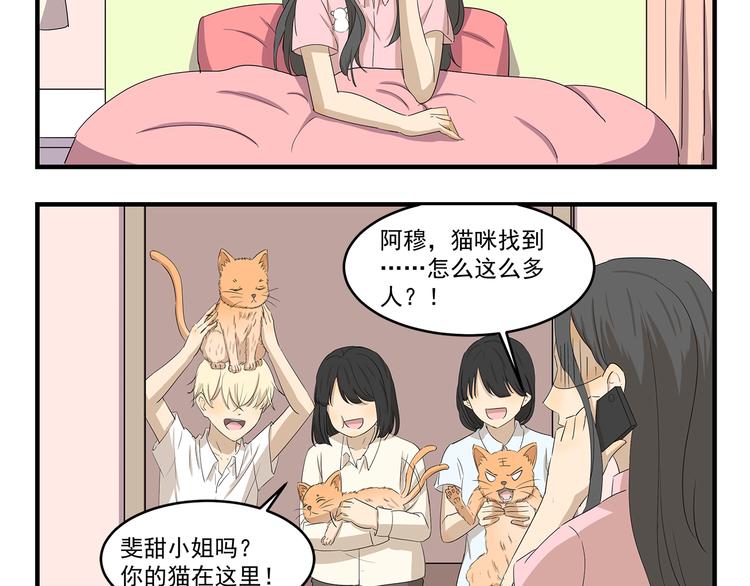 第423话 寻猫启事-第423话