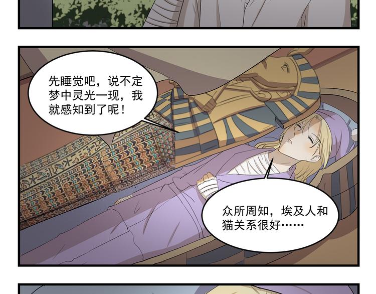 第423话 寻猫启事-第423话