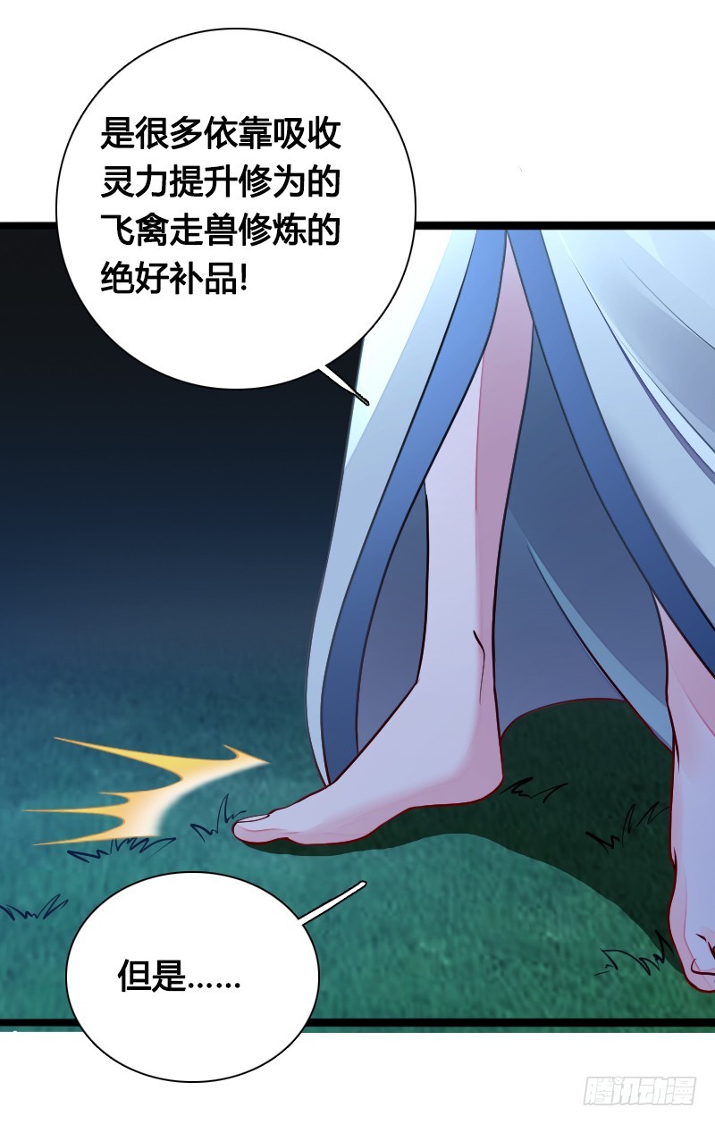70 用情-第69话