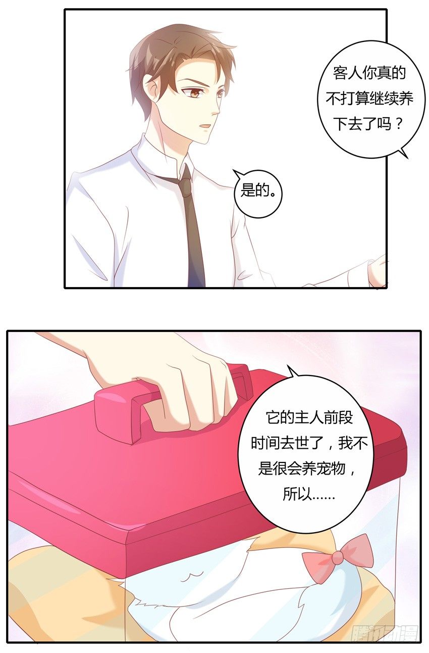 第十话-第11话
