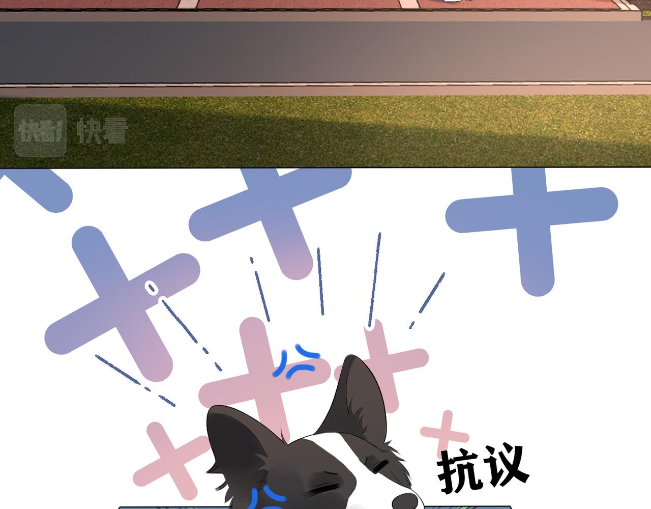第30话 确定心意(1/4)-第11话