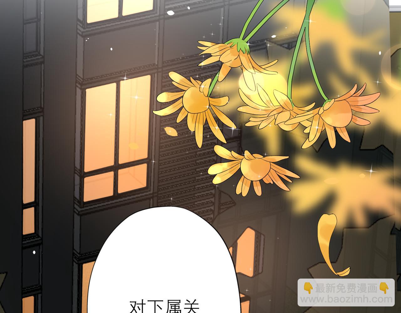 第30话 确定心意(1/4)-第11话