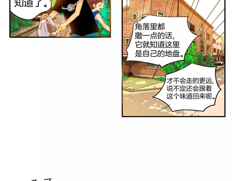 第19话(1/2)-第19话