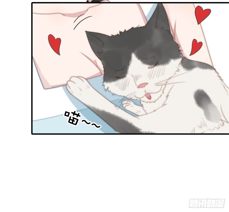 114 最会享受的猫-第63话