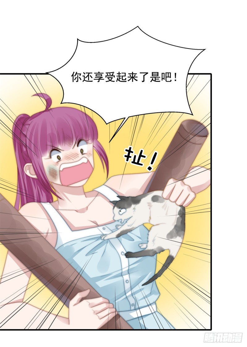 114 最会享受的猫-第63话