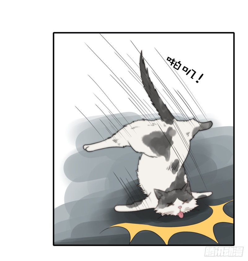 114 最会享受的猫-第63话