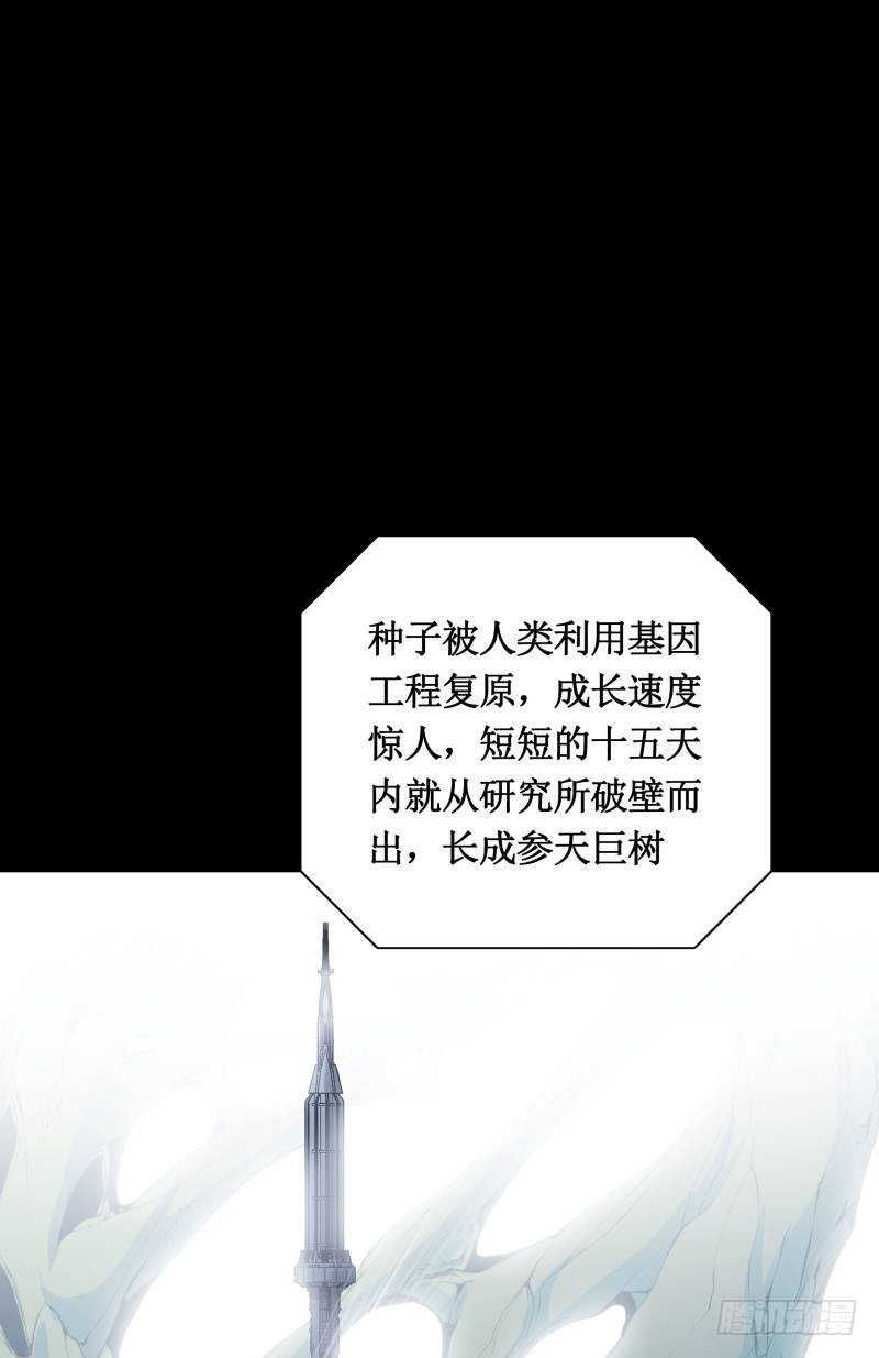 修复的种子(1/2)-第1话