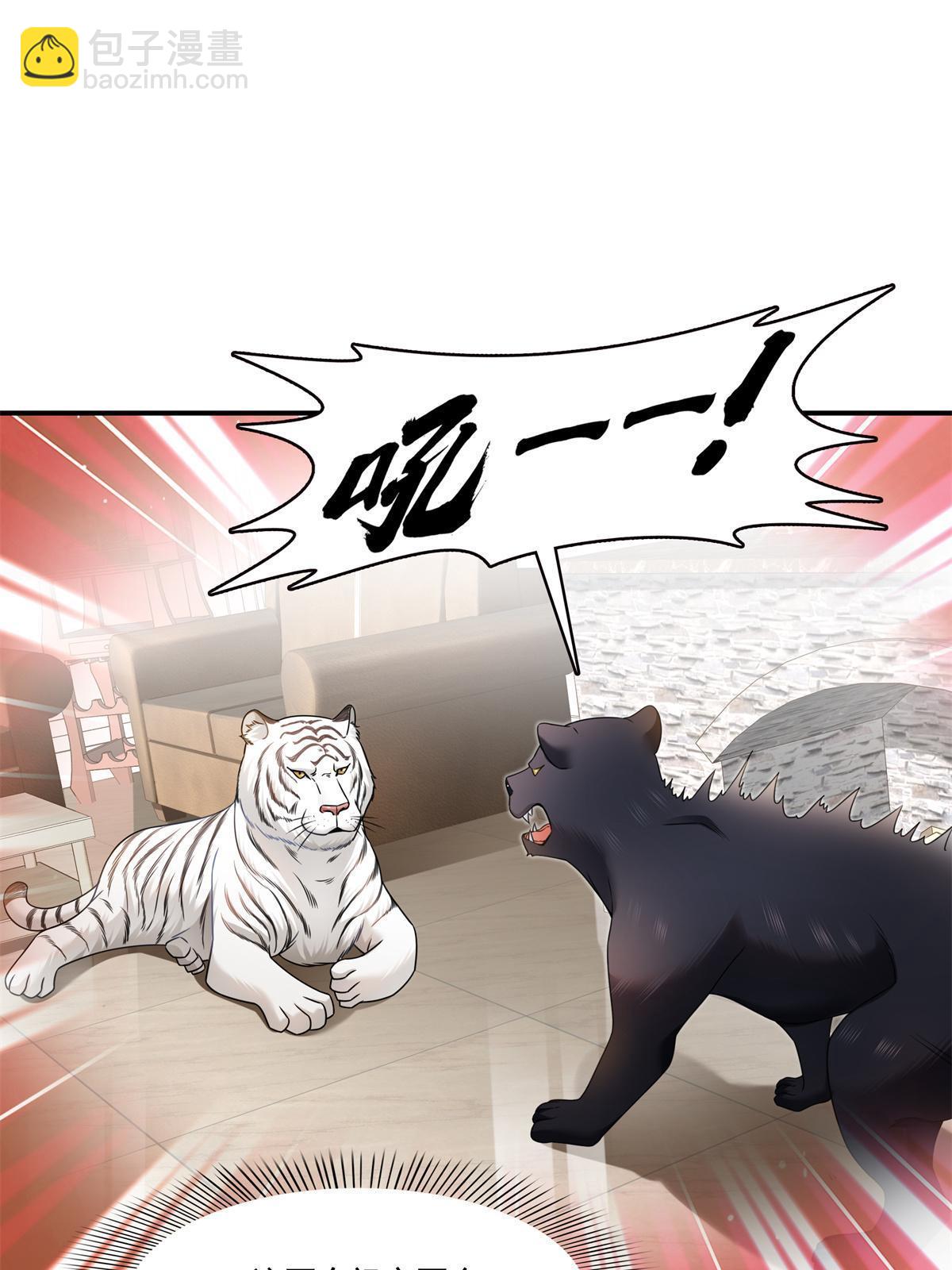 第278话 大白和小黑-第281话