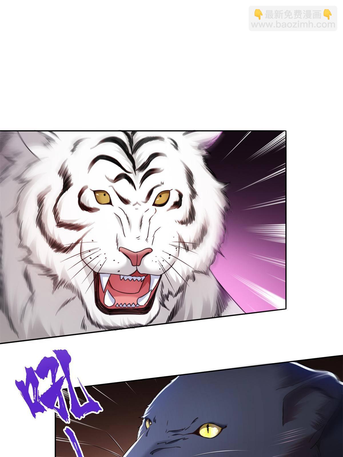 第278话 大白和小黑-第281话