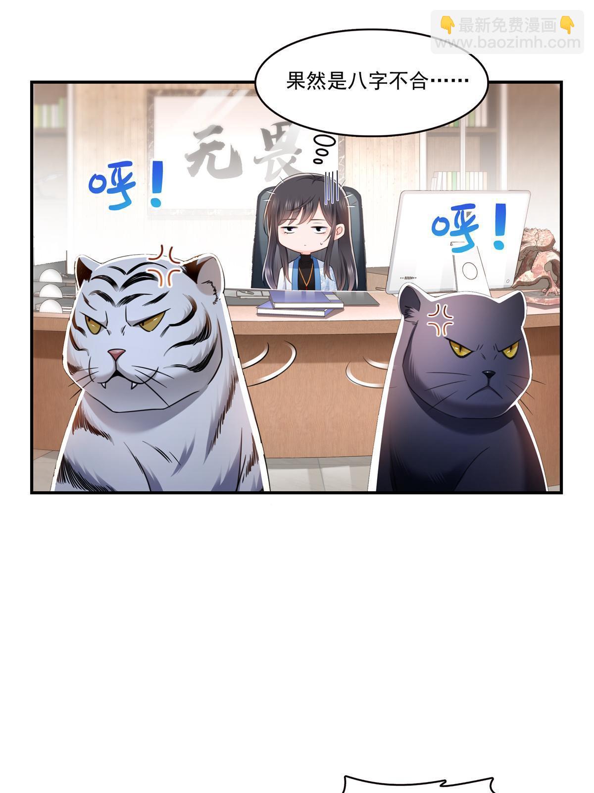 第278话 大白和小黑-第281话