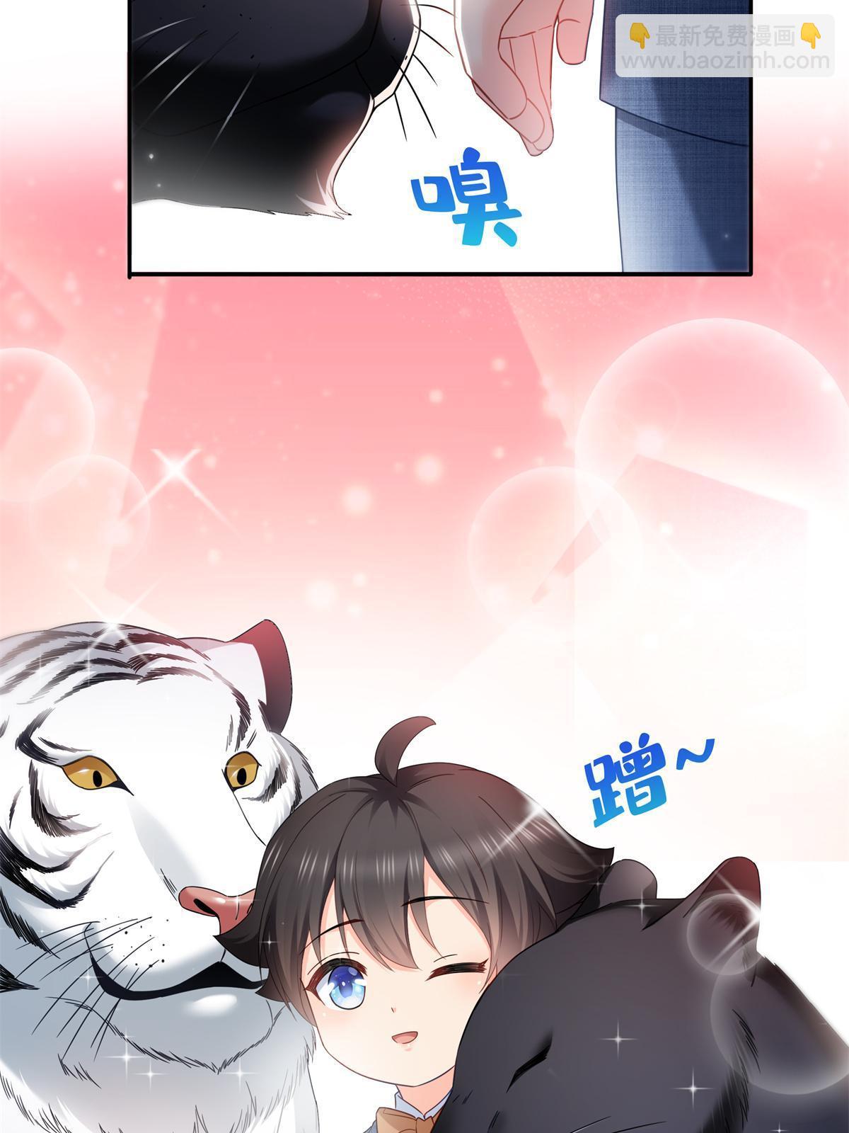 第322话  盟主的私生子(1/2)-第325话