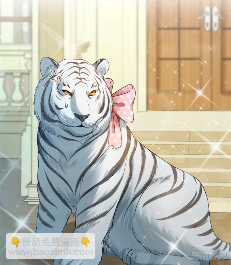 第六十四话 我男朋友那么帅(1/2)-第65话