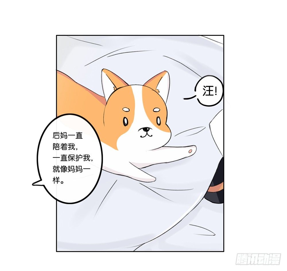 婚礼前夕（上）-第19话