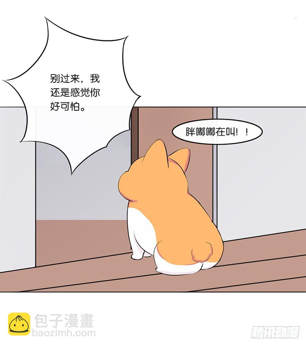 懒散的夏日（下）-第5话