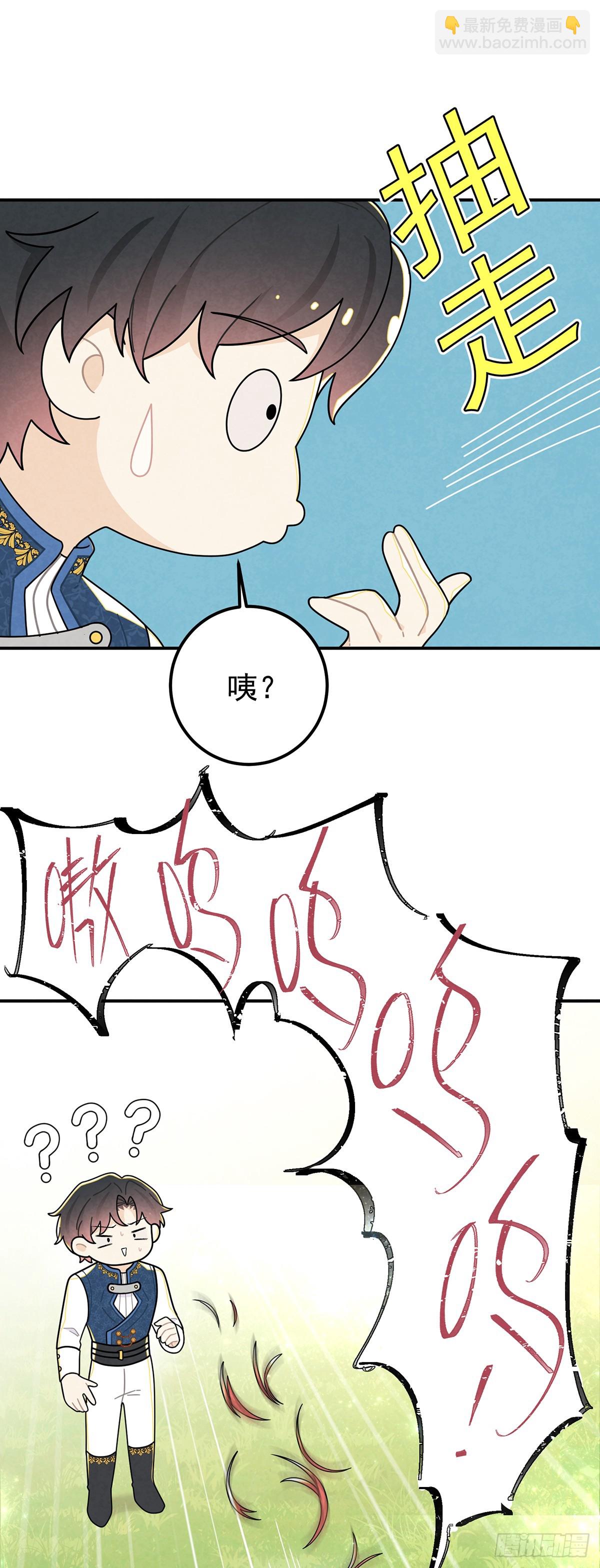 秃毛的狂怒！-第65话