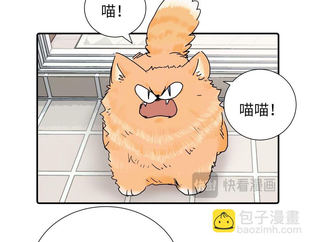 第三十六话 上司的职责(1/2)-第37话