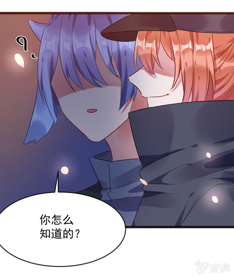盛大婚礼-第77话