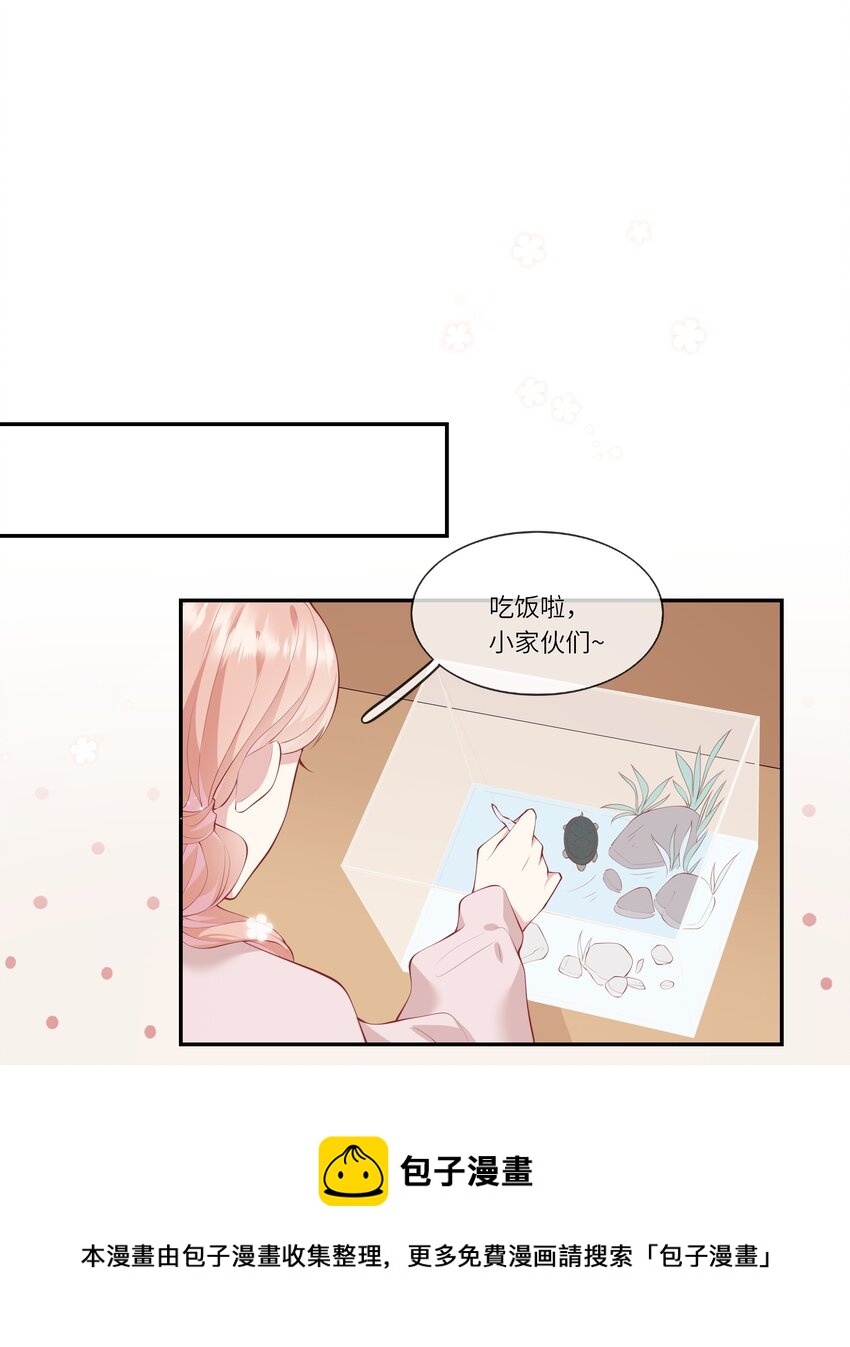 050 宁愿想要小乌龟-第53话