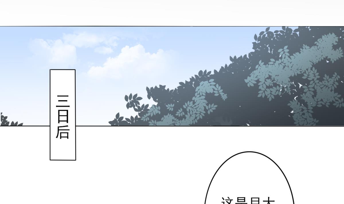 🍛倾城之上 第145话 让你倾家荡产 第33页