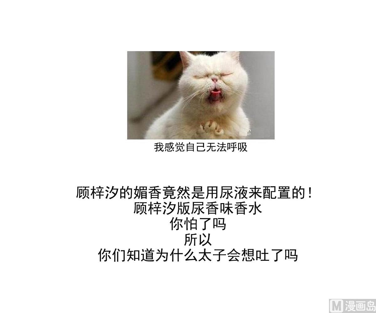🍛倾城之上 第155话 她和顾梓汐长得一样 第48页