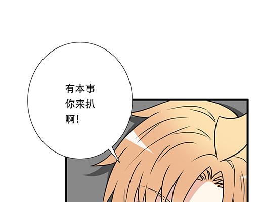 第四十一话：你们在做什么？(1/2)-第41话