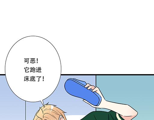 第四十九话：床底下的秘密(1/2)-第49话