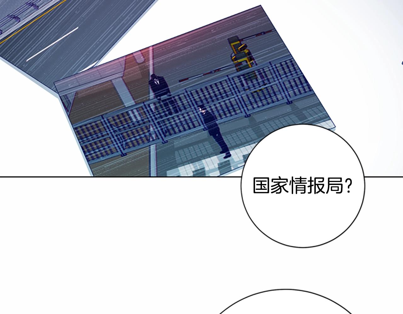 🍛清道夫K 第89话 猎犬与诱饵 第12页