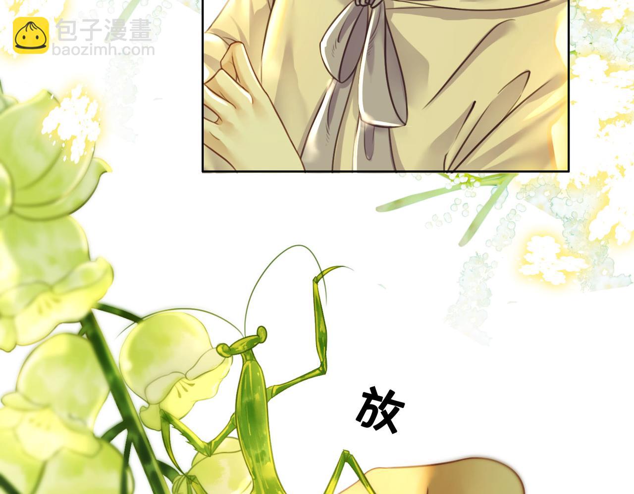 第三十一话 乞巧到来(1/3)-第33话